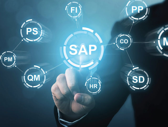 SAP Roll Out Services